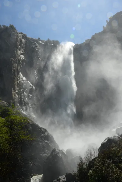 DSC_2331 (Large).JPG